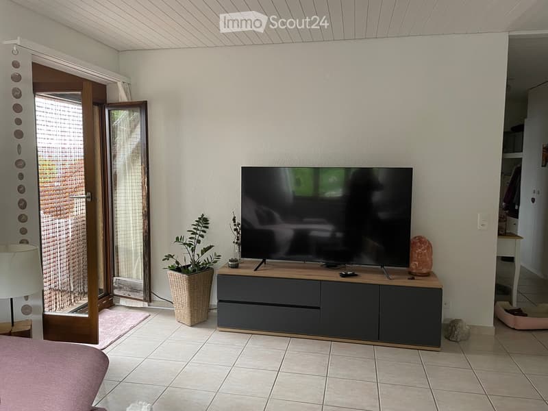 Modern living room with a large flat-screen TV on a dark wooden stand, a wicker plant pot, a floor lamp, and a pink chair near the tiled floor.