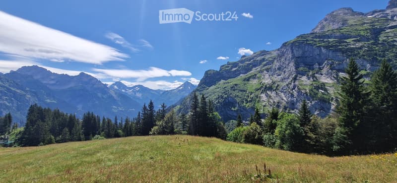 A panoramic view of a lush green meadow surrounded by dense forests and towering mountain peaks under a clear blue sky.