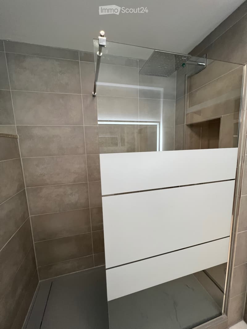 Modern bathroom with a glass-enclosed shower stall, dark tiled walls, and a white cabinet with mirrored doors.