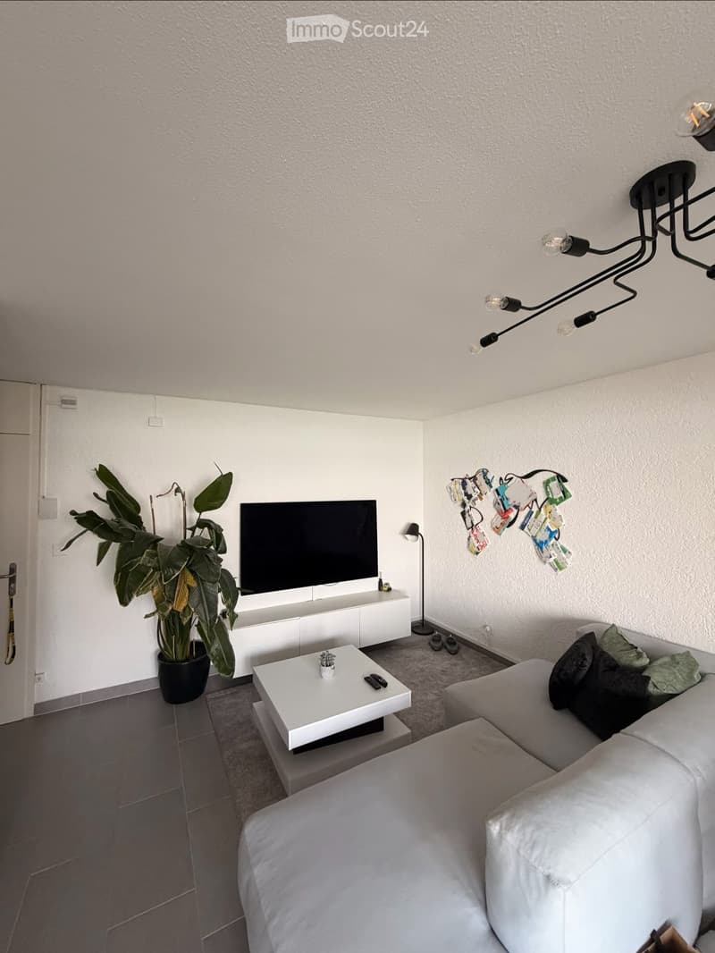 Modern living room with a white sofa, coffee table, television, floor lamp, and a large potted plant. The room features a grey carpet and white walls.