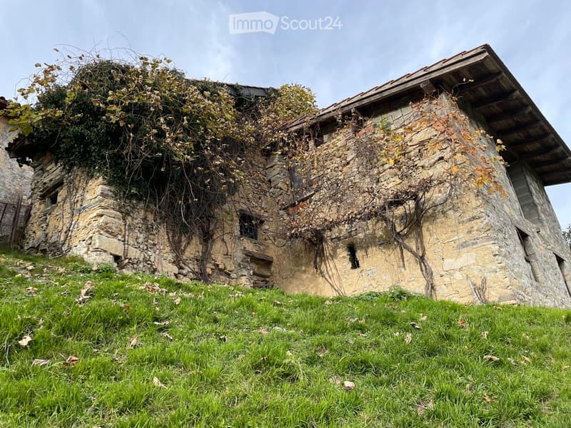 A rustic stone building with a partially overgrown roof and visible vines, situated on a grassy slope.