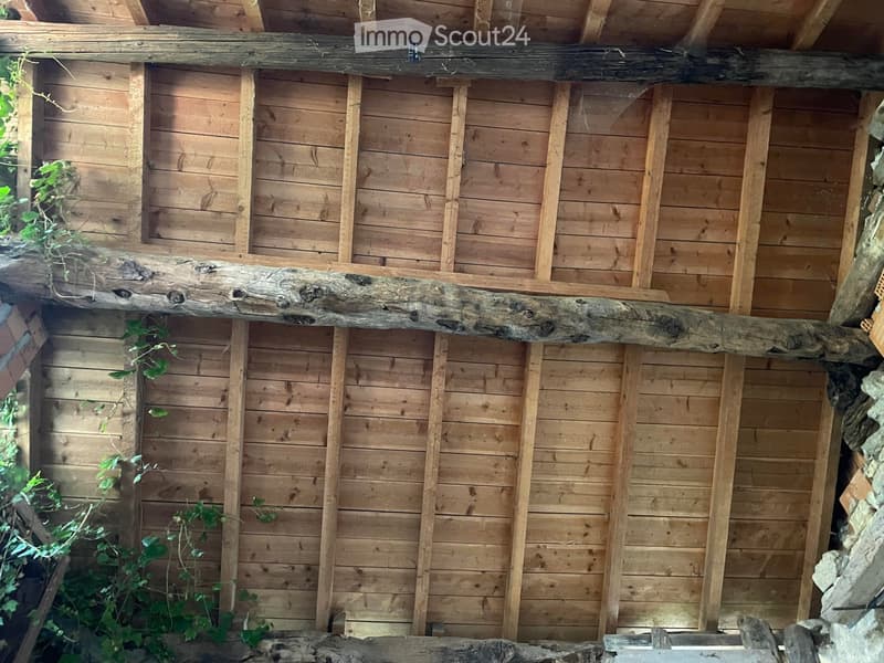 Wooden outdoor structure with slatted walls and a wooden beam, partially covered with greenery and vines.