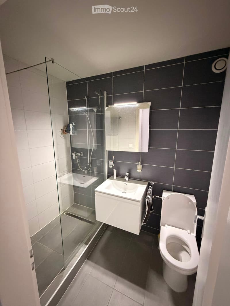 Modern bathroom with dark tiled walls, white sink, toilet, and glass-enclosed shower area.