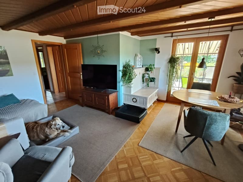 Bright living room with wooden floors, a grey sofa, a dog bed, a round dining table with chairs, a television on a wooden stand, and a white cabinet with potted plants. The room features large windows with hanging plants and a cozy atmosphere.
