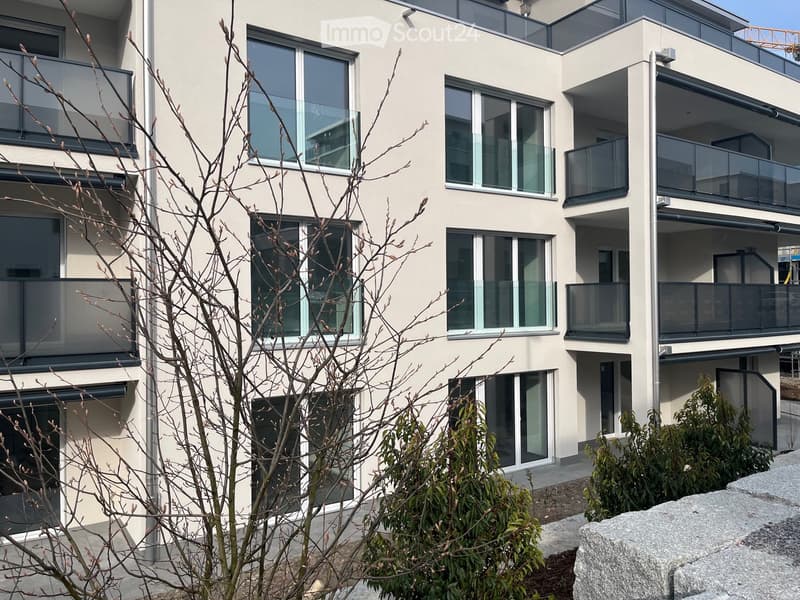 Modern multi-story residential building with large windows and balconies, surrounded by small trees and shrubs.