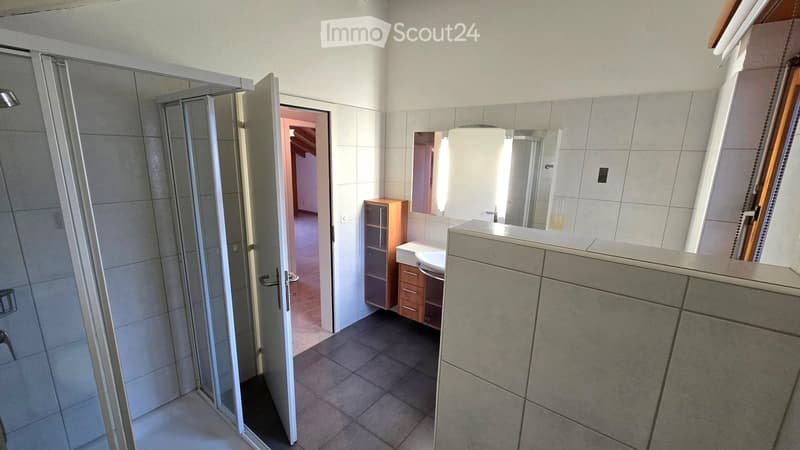 Modern bathroom with a large sink, mirror, and a glass-enclosed shower. The space features tiled walls and a small wooden cabinet.