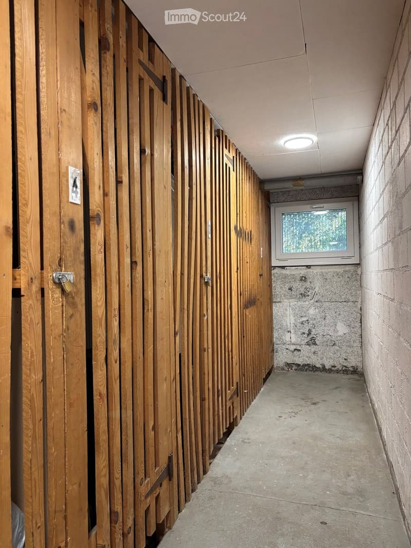 A narrow hallway with wooden stall doors on one side and a concrete wall on the other, featuring a small window at the end.