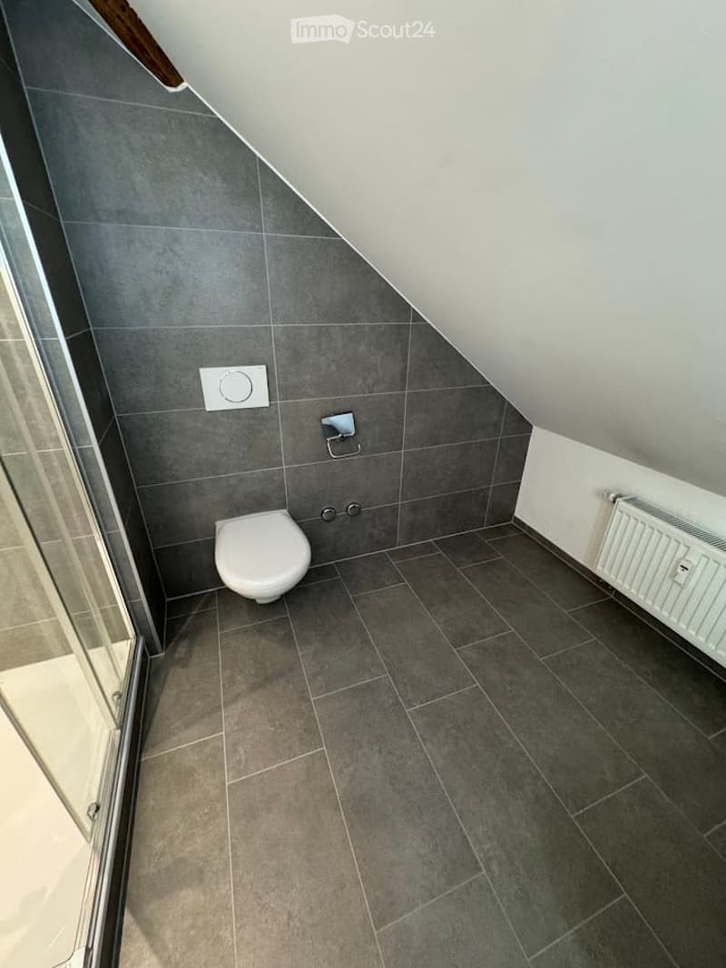 Modern bathroom with grey tiled walls and floor, a toilet, a radiator, and a glass shower enclosure visible on the left side.