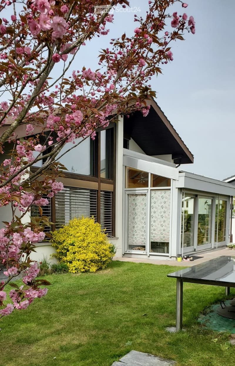 Modern house with large windows and sliding glass doors, surrounded by a well-maintained lawn, flowering trees, and a small yellow bush.