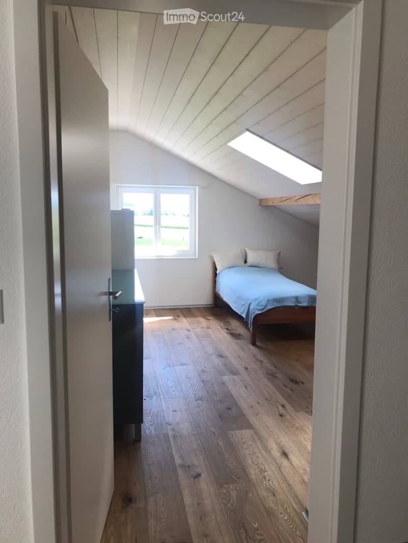 Bright attic bedroom with wooden flooring, slanted white ceiling, and a single bed with blue bedding. Features a large window and a built-in storage shelf.