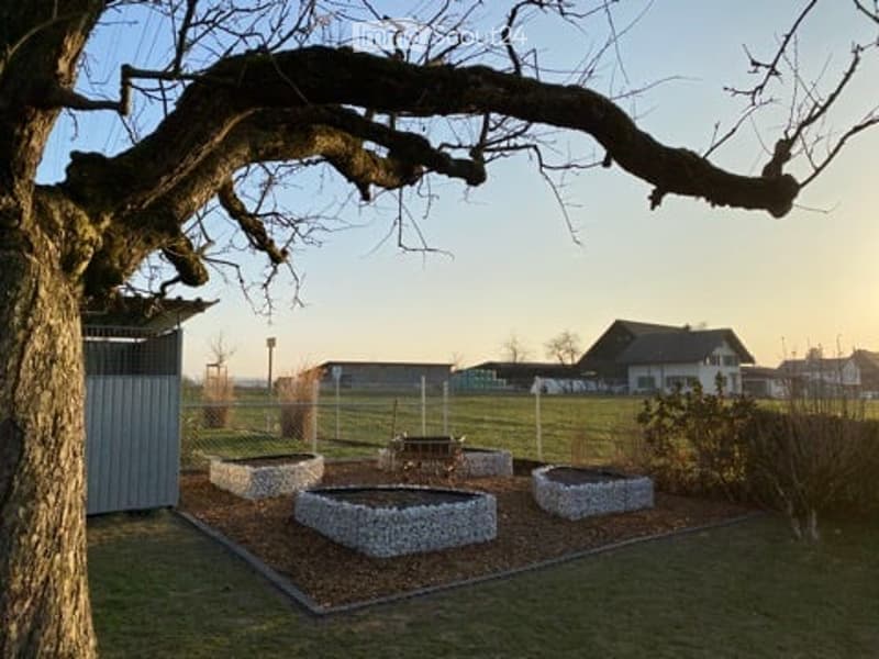 Garden area with raised stone planters, a large tree, and a small shed in the background.