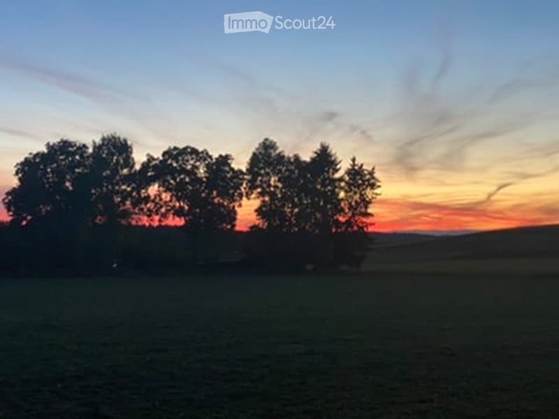 Open field with trees silhouetted against a colorful sunset sky.