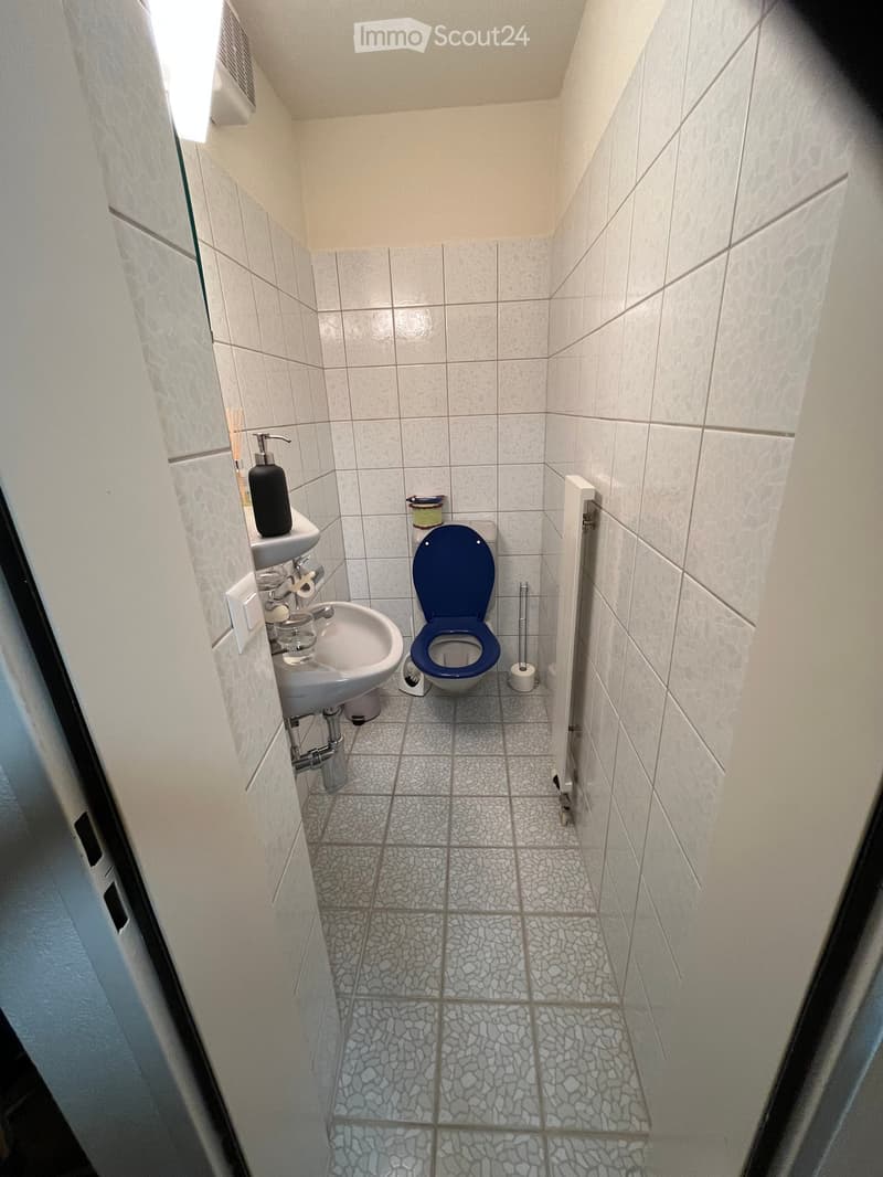Small bathroom with a toilet, sink, and tiled walls and floor. The toilet has a blue seat cover, and the sink has a silver faucet. Toilet paper and a soap dispenser are visible on the sink counter.