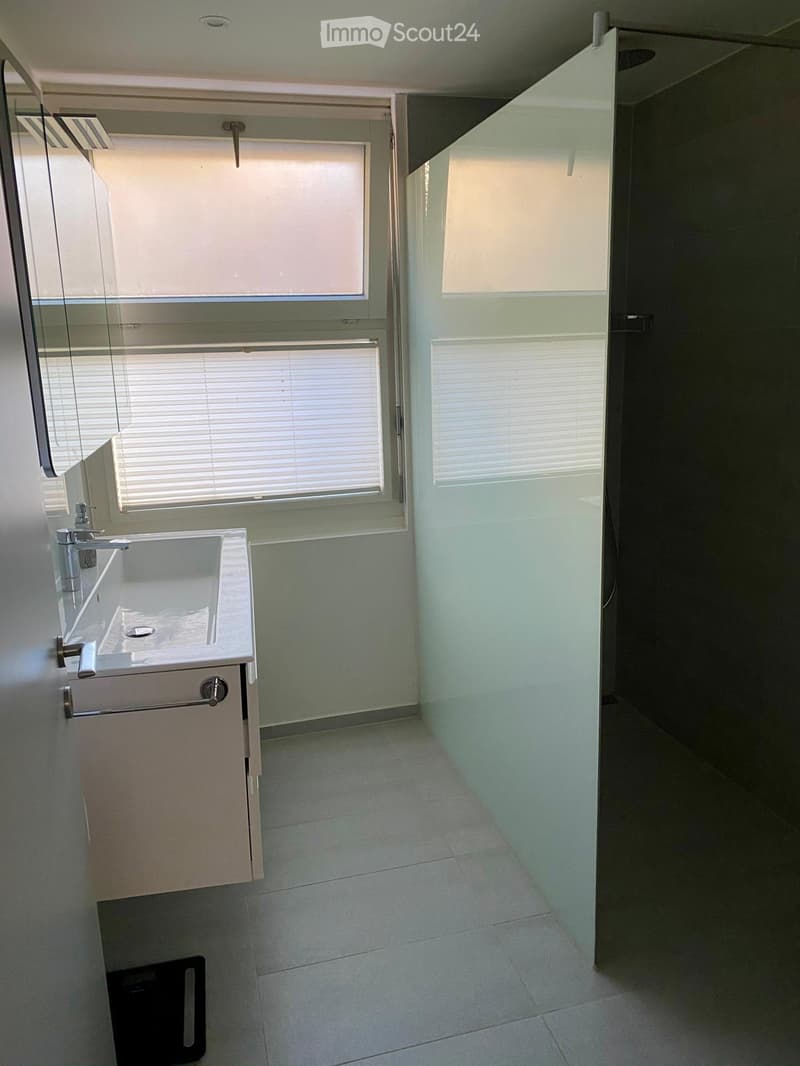 Modern bathroom with a white sink, chrome faucet, and built-in cabinet. Features large windows with blinds and a glass shower enclosure.