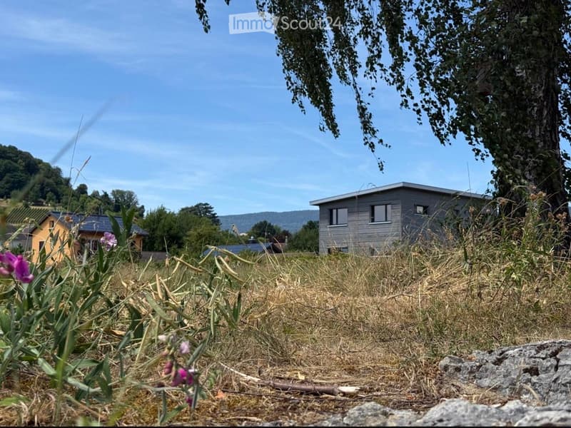A grassy field with a small modern house in the background, surrounded by trees and hills under a clear blue sky.