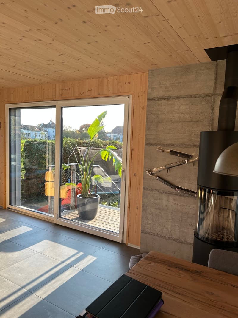 Modern living room with wooden ceiling, large sliding glass door leading to outdoor area, wood stove, small table, and potted plant visible through the glass.