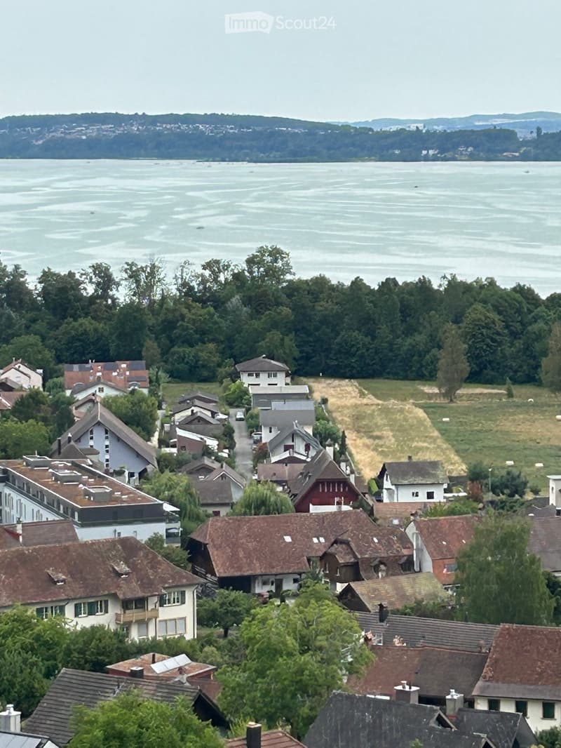 A panoramic view of a residential area with multiple houses, surrounded by trees and a body of water in the background.