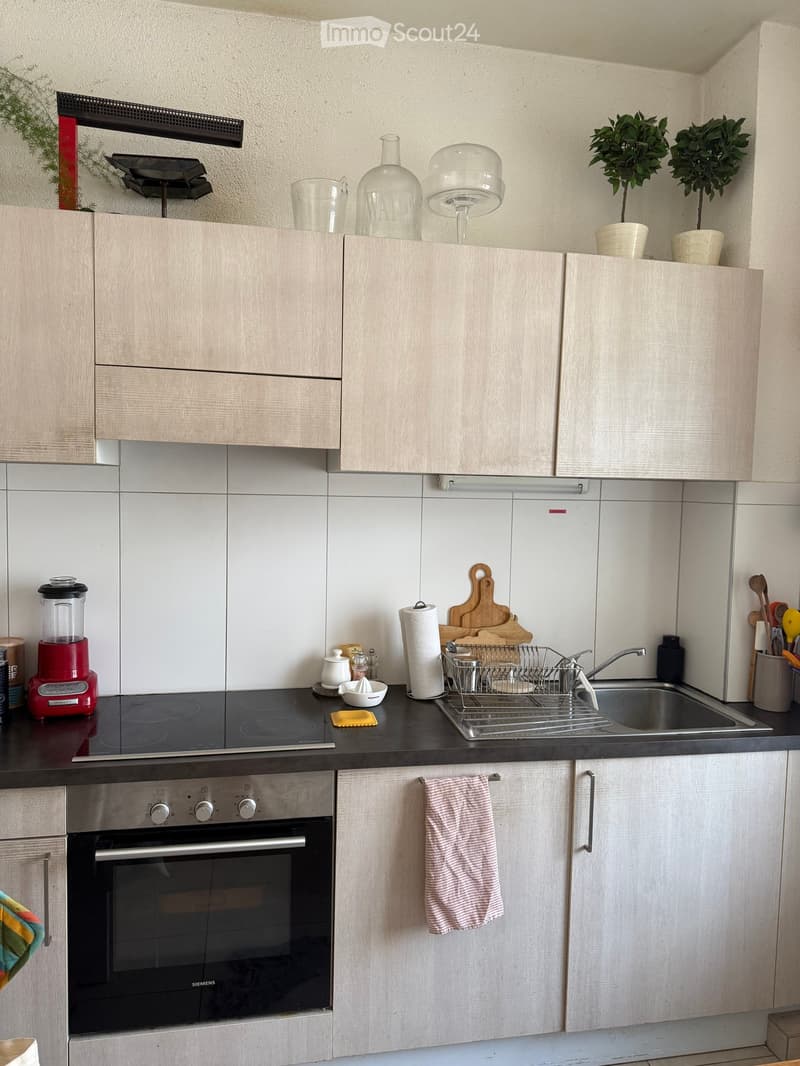 Modern kitchen with light wood cabinets, stainless steel appliances, induction cooktop, and various kitchen items on the counter.