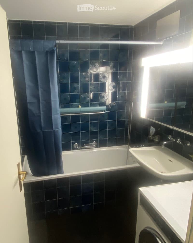 Bathroom with dark blue tiled walls, a bathtub with a glass shower enclosure, a sink, and a mirror above it.