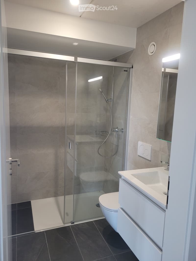 Modern bathroom with a glass-enclosed shower stall, toilet, sink with a mirrored cabinet, and sleek dark tiled flooring.