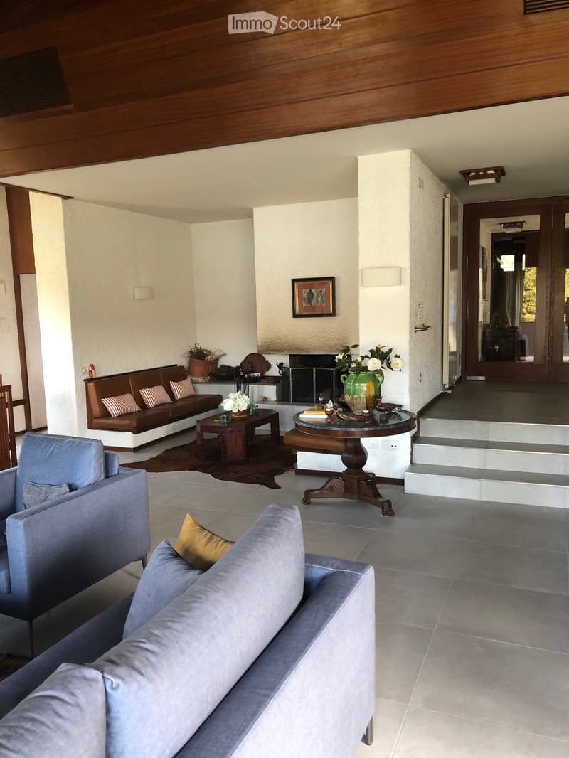 Modern living room with a grey sofa, coffee table, armchair, ottoman, fireplace, and decorative items.