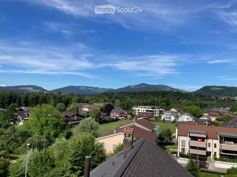 Aerial view of a suburban neighborhood with houses, trees, and distant mountains under a clear blue sky.