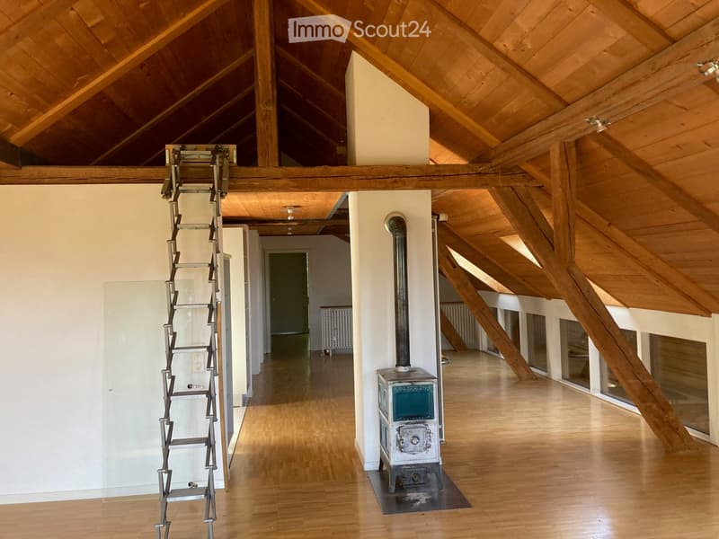 Open loft space with wooden beams, polished wooden floor, wood stove, and a metal ladder leading to an upper level.