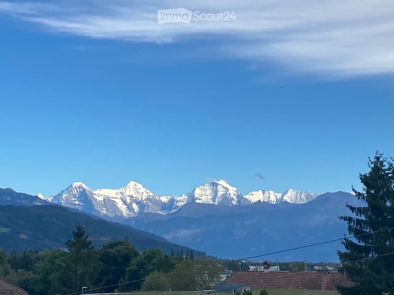 A scenic view of snow-capped mountains in the background, with a clear blue sky and a few scattered trees in the foreground.