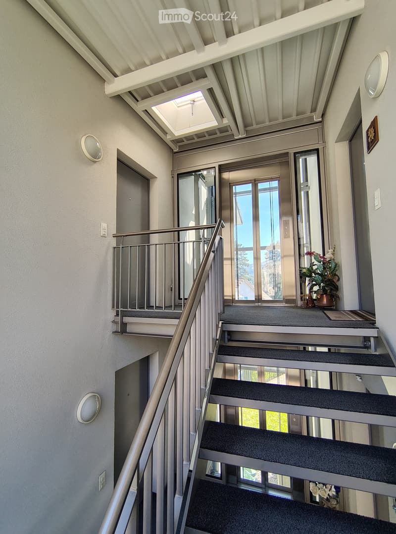 Modern interior staircase with metal railing, carpeted steps, and glass doors leading to a balcony area with potted plants.