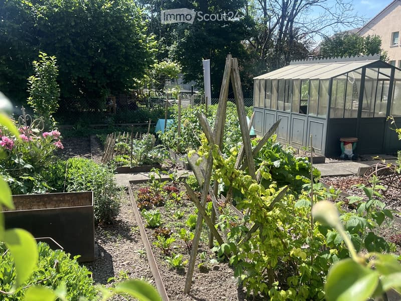 Well-maintained garden with raised beds, climbing plants, greenhouse, and decorative elements.