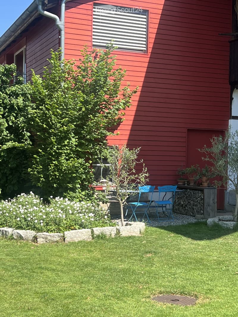 Garden area with a red wooden house in the background, featuring a small table, two blue chairs, potted plants, a stack of firewood, and a well-maintained lawn.