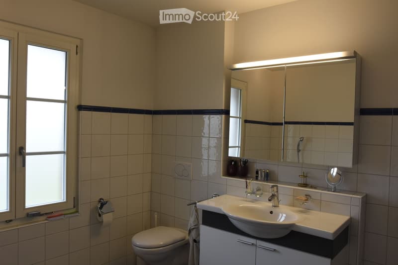 Modern bathroom with a white sink, large mirror with built-in cabinets, toilet, and tiled walls. Features include a towel hanging on a rack, a toilet paper holder, and a toothbrush holder on the sink counter.