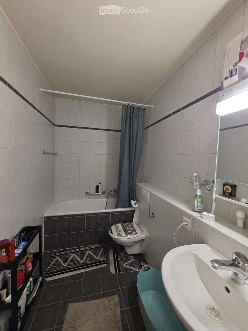Bathroom with a bathtub, toilet, sink, mirror, and various toiletries. Features a shower curtain, shelves, and a small rug.