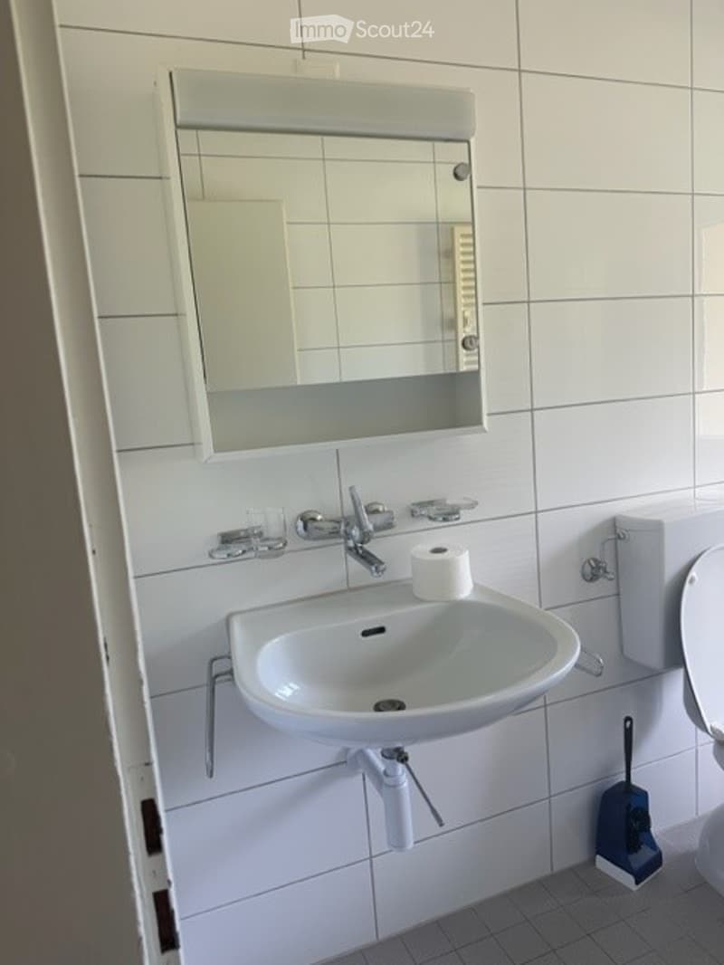 Modern bathroom with white tiles, a white sink, a mirror above it, a toilet, and a toilet brush holder.