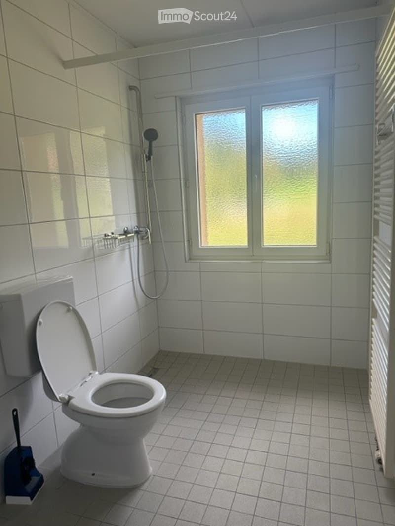 Modern bathroom with white tiled walls and floor, a toilet, a shower, a window with frosted glass, and a radiator.