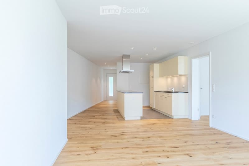 modern kitchen, white cabinets, wooden floors, built-in appliances