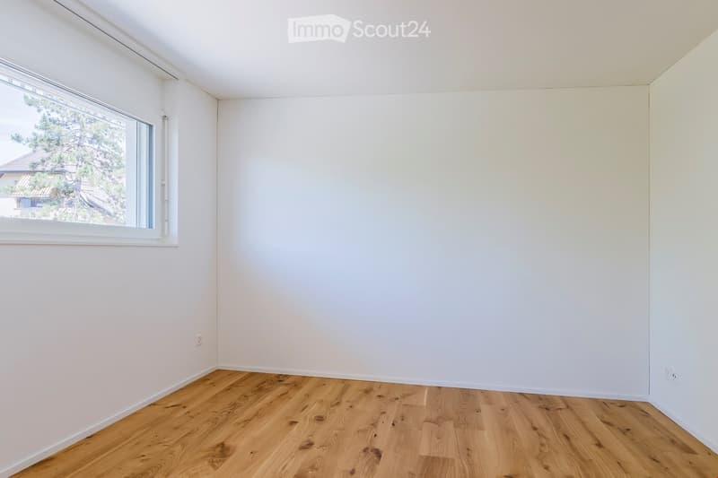 Empty room, white walls, wooden floor, large window with tree view