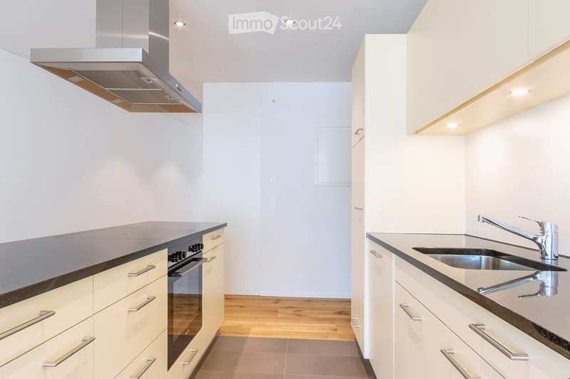modern kitchen with wooden flooring, gas stove, oven, sink, stainless steel faucet, dishwasher, wooden cabinets