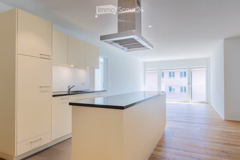 Modern kitchen, wooden floor, white cabinets, black countertop, stainless steel exhaust hood