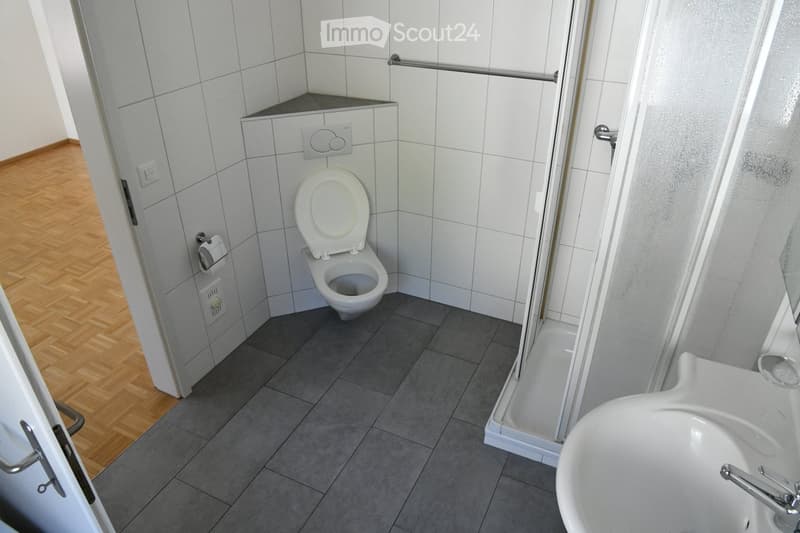 Bathroom: toilet, sink, shower enclosure, tiled walls, tiled floor