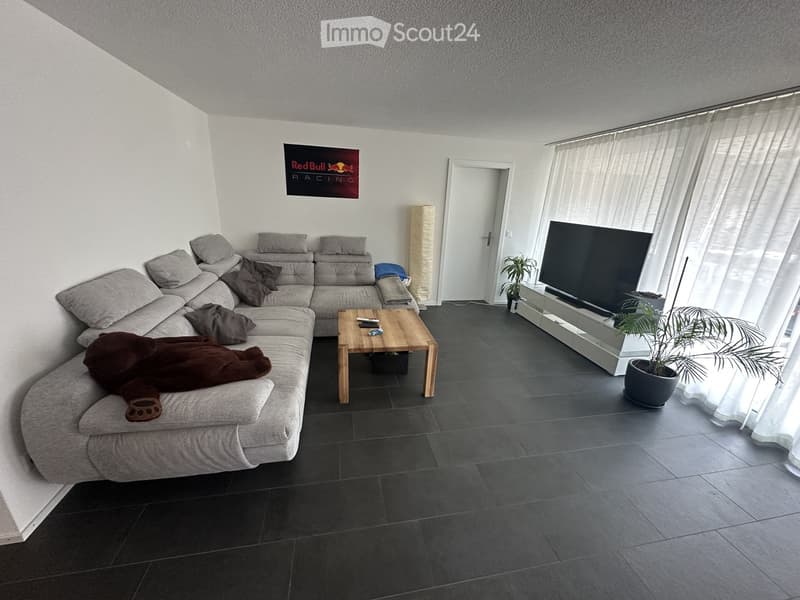 Modern living room with a grey sectional sofa, wooden coffee table, flat-screen TV, and a potted plant near the window.