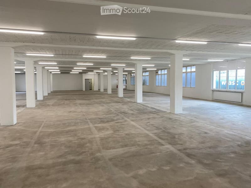 Large, empty industrial-style room with concrete floors, white walls, and large windows allowing natural light. The space features several white support columns and a single door at the far end.