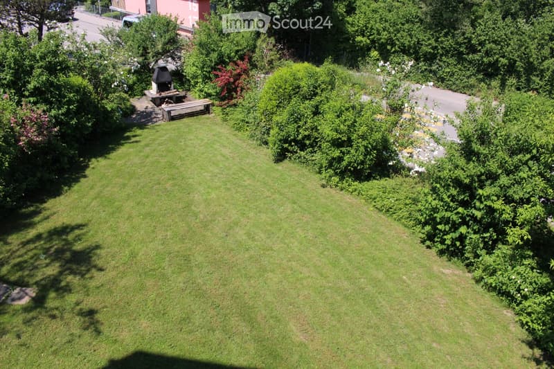Well-maintained lawn surrounded by dense greenery, with a small barbecue area, picnic table, and bench visible in the background.