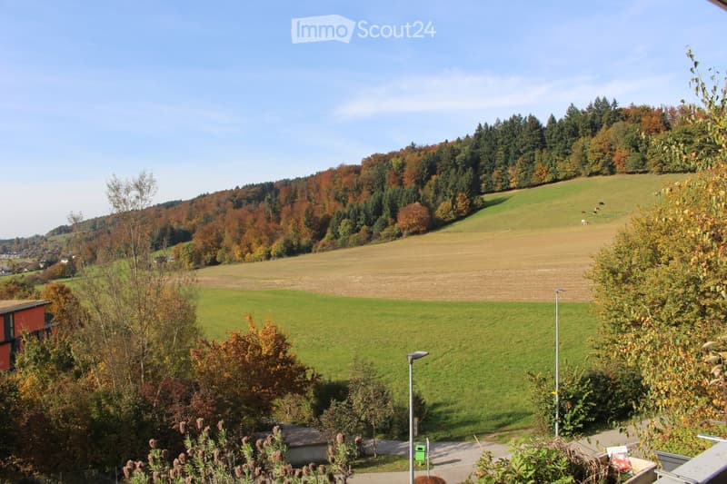 A panoramic view of a rural landscape with green fields, trees, and a clear blue sky. The foreground shows a well-maintained lawn with some bushes and a pathway, while the background features rolling hills and a mix of deciduous and coniferous trees.