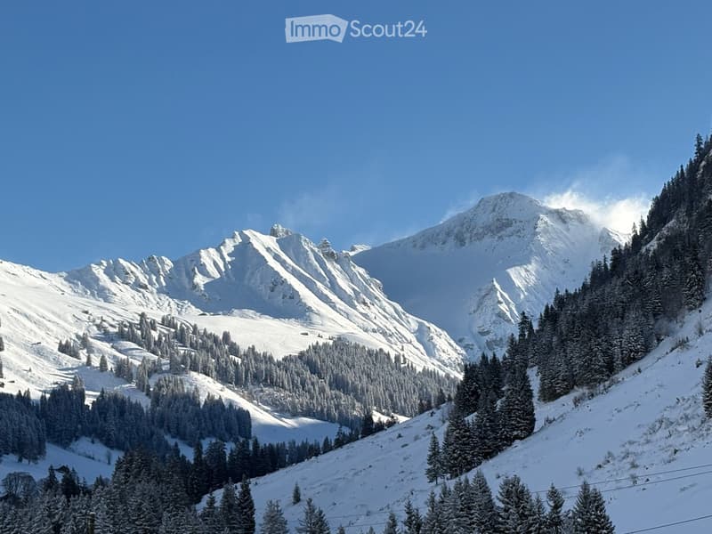 Snow-covered mountain landscape with dense evergreen forest, clear blue sky, and ski lift visible in the distance.