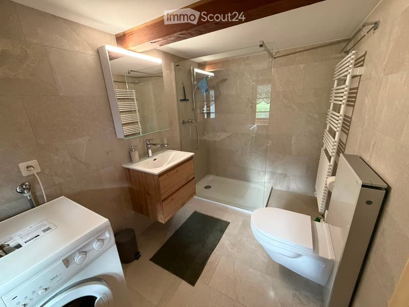 Modern bathroom with a sink, toilet, shower, radiator, and washing machine. Features a large mirror, wooden cabinet, and tiled walls.