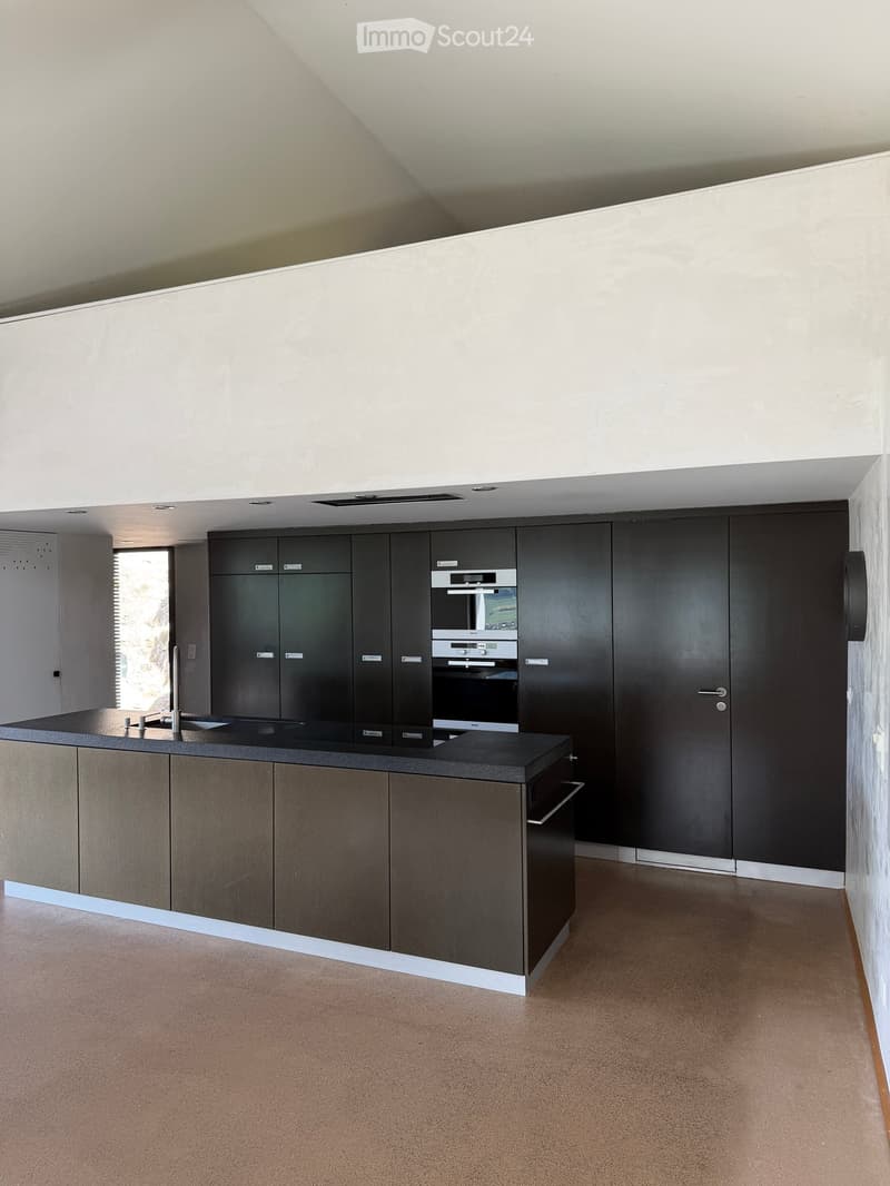 Modern kitchen with dark cabinets, a central island, and built-in appliances including an oven and sink.