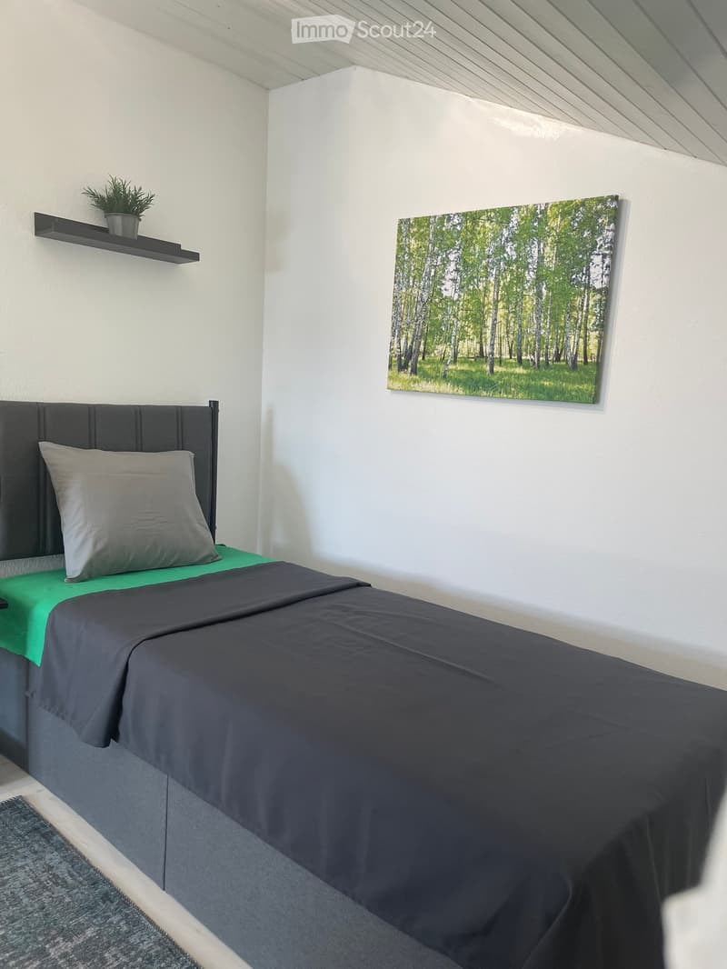 Modern bedroom with a single bed, grey headboard, grey bedding, a picture frame on the wall, a small shelf with a plant, and a grey rug on the floor.