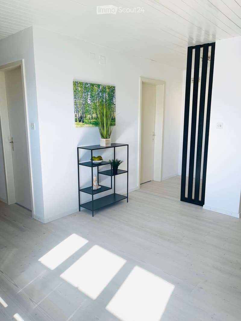 Bright hallway with white walls, wooden floor, and a black shelf holding a plant, bowl, and statue. A painting hangs on the wall, and there are two doors visible.