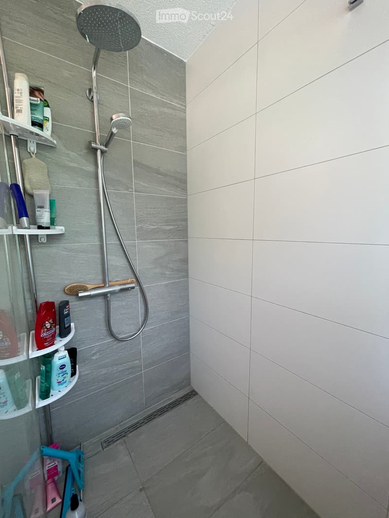 Modern shower area with grey tiled walls, a handheld showerhead, and a wall-mounted shelf holding various toiletries.